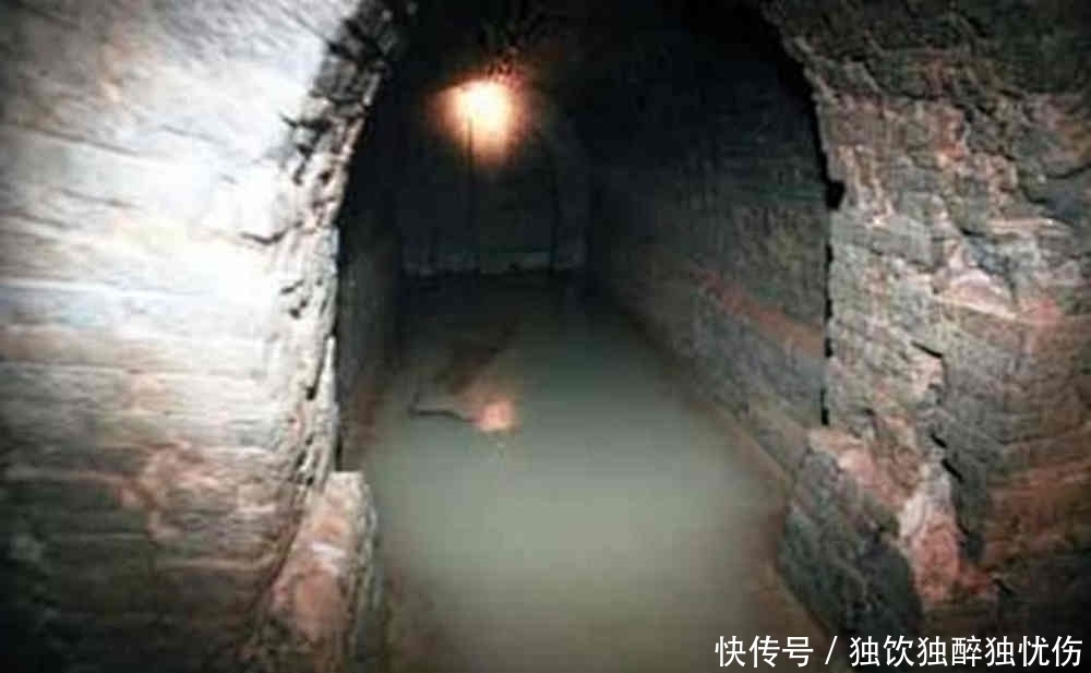 专家|2000多年历史的古墓,爬出一只“乌龟”,周围人的脸色都变了