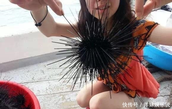 海鲜|海鲜大全, 你能认出多少