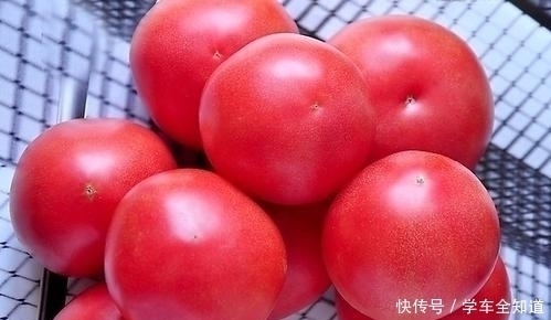 番茄|西红柿别再炒着吃了,大厨教你新吃法,1次5斤不够吃,开胃又解馋