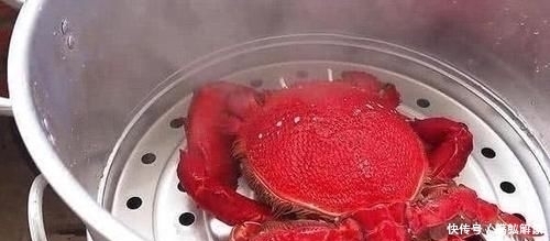 螃蟹|男子花高价买了一只“怪螃蟹”，煮熟后，掀开盖子的瞬间“懵”了