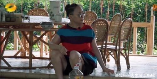  菠萝|《向往4》结束后再无下一季宋丹丹酿菠萝酒，何炅不慎说漏嘴了