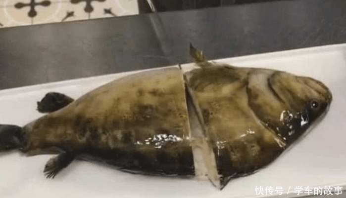 请客吃饭|小伙请客吃饭, 当服务员端鱼上桌, 疑惑不已时, 切开后却傻了