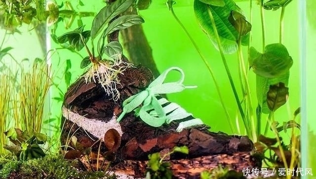 鲜花|球鞋当花瓶,鲜花填充羽绒服?时尚界的环保也太香了