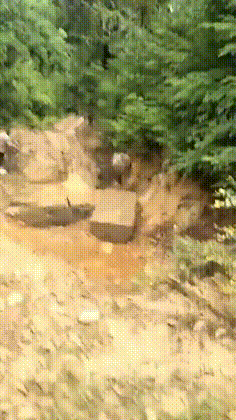  搞笑|搞笑GIF：我就欣赏小哥不怕死的精神