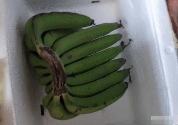 香蕉|“买的香蕉放一个月了,现在还是硬的”哈哈哈评论区坐不住了
