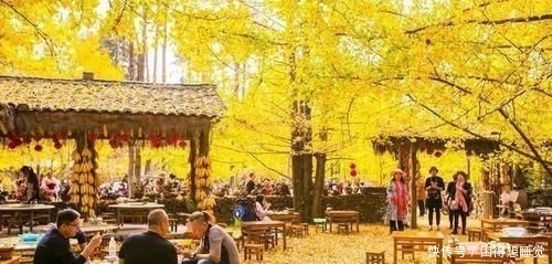 院子|年轻的时候努力赚钱,建一座这样的院子,老了过悠哉的生活