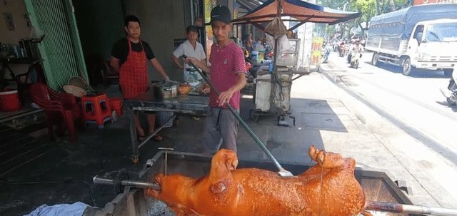 美食|去越南旅游吃“烤乳猪”，没忍住1200元买了一整只，切开后这是烤猪