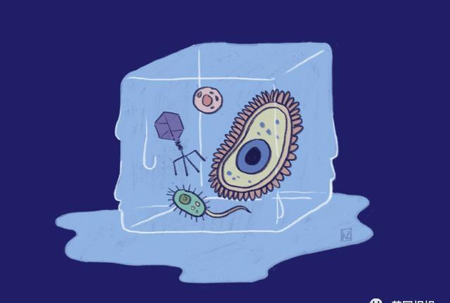 图源|北极圈着火!气温直逼38度,科学家恐冰川融化远古病毒复活