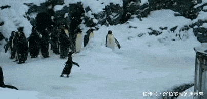 厉害|GIF搞笑趣图: 好厉害的情侣, 这几个动作实在是高难度啊!