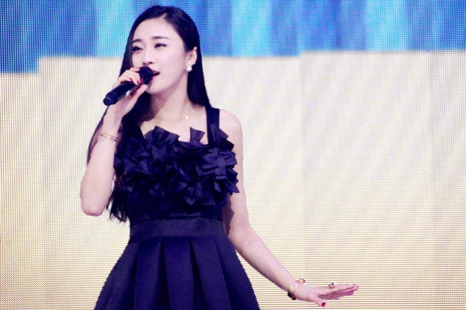 盛夏光|瞒着老公参加《好声音》,火了以后立马离婚,如今沦为路人没人识