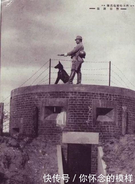 鱼雷快艇|日军侵占东北,学生被迫按日军标准出操,遥拜天皇和溥仪