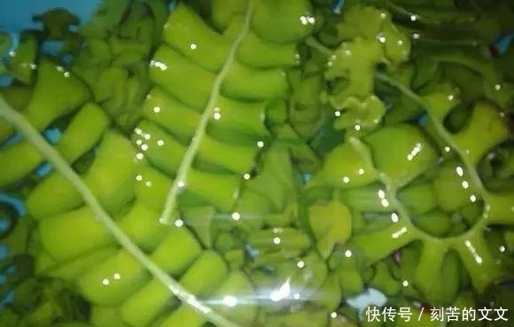  认出|海鲜大全, 你能认出多少