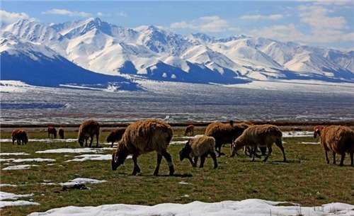 名字|康熙400多年前叫错一水果,至今都没改正,可能你的叫法也错了?