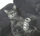 厉害|GIF搞笑趣图: 好厉害的情侣, 这几个动作实在是高难度啊!