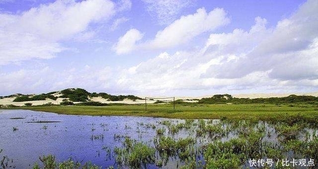 沙漠|中国人到底有多可怕?沙漠里养螃蟹,一年收入超过100万