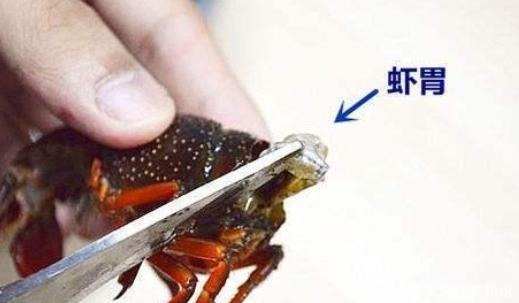 刷子|清洗小龙虾别只懂用刷子刷了,教你一招,脏东西自己吐出来
