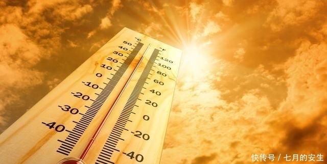 健康|分享几道素菜美食,清理肠胃,营养简单,越吃越健康