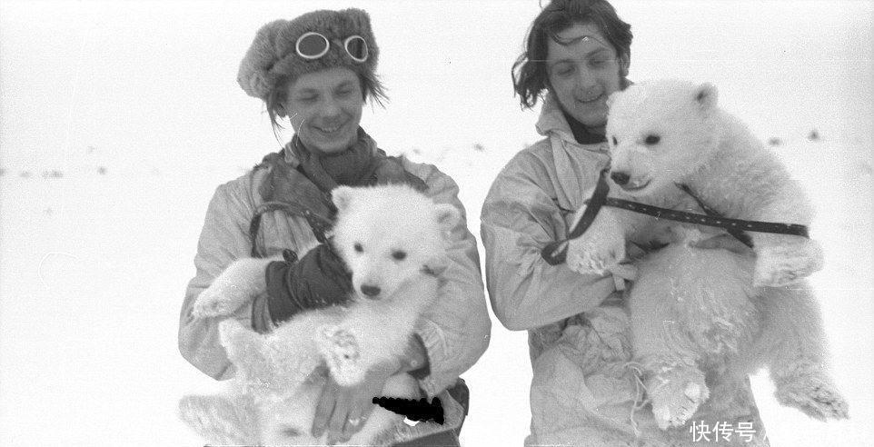 二战|二战最后投降的德国军队,被遗忘在北极无人问津,盟军都懒得过来