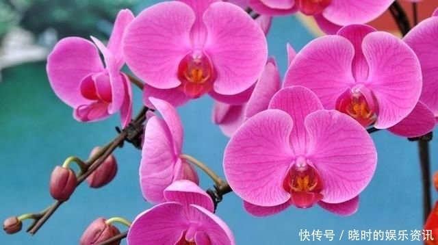 择一人深爱,等一人终老|诗词 | 深爱