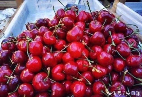 尽量|买樱桃,不论贵贱,只要发现这2点,就尽量别买,口感都是极差的