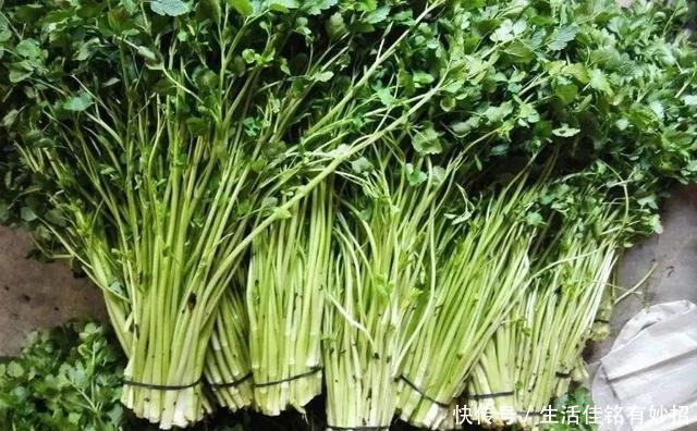 仙女|像江南小仙女一样鲜灵灵的水八仙,在秋天发出邀请函