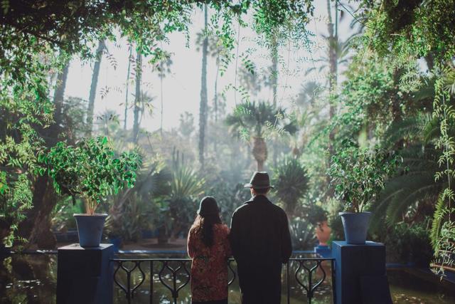  难得|元龟商城经典分享：让 步（难得好文）