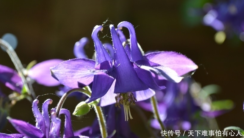  好运|下周起，好运到，走十年难遇财运，人生实现逆转的4大生肖