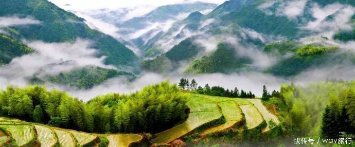 森林|高温席卷的初夏,不如去这些堪比童话仙境的小众森林里乘个凉!