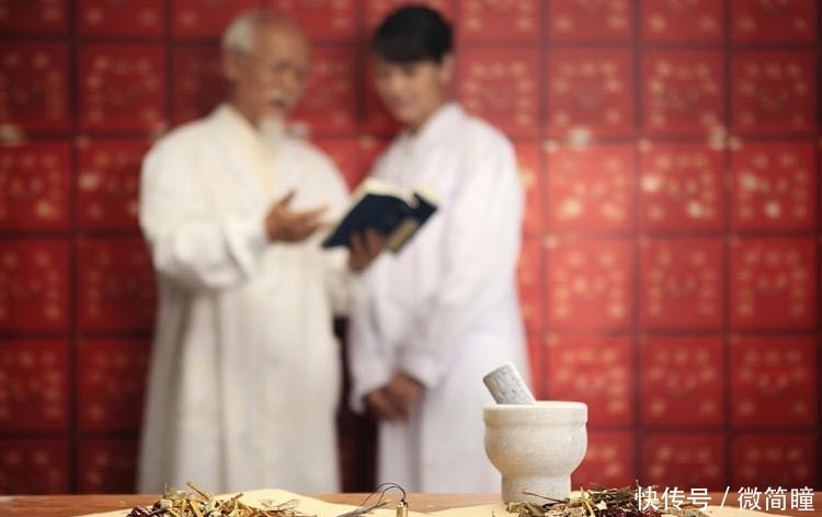 几片紫色|紫苏是什么?