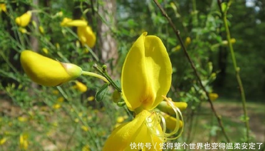 人生|元气满满的人生良言,精致走心,发朋友圈很不错