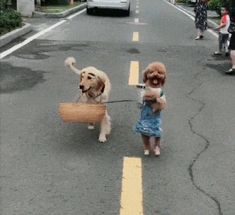 秘书|搞笑GIF：只有秘书才懂得密码