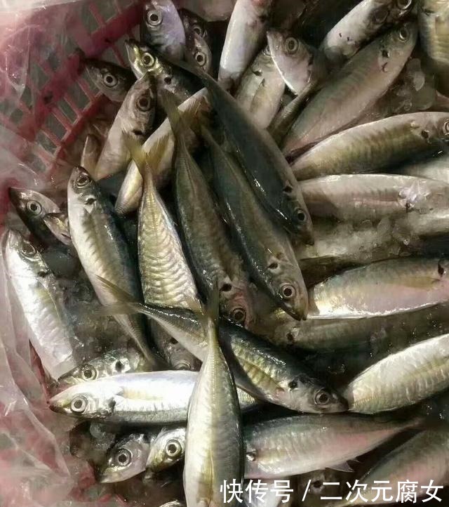 价格|以后去市场买这5种鱼,连鱼铺老板都会夸你是行家