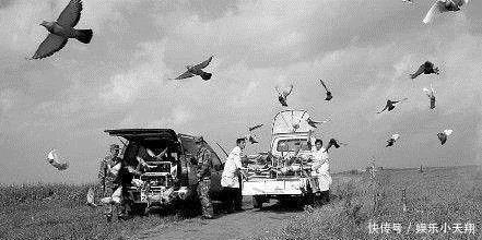 日军|抗日战场上,有一动物,比日军还危险,见到必须杀掉