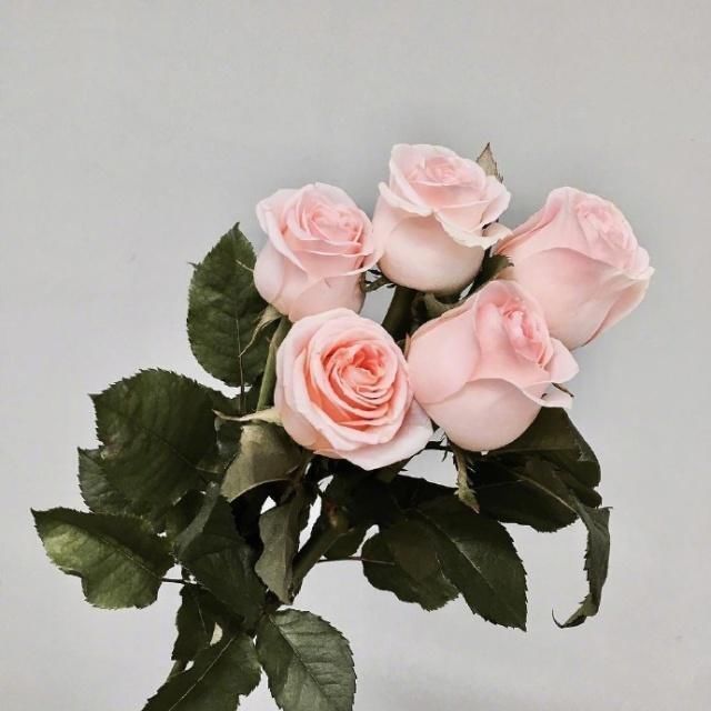 心语|简单干净的晚安心语，温暖治愈，你最喜欢哪句？