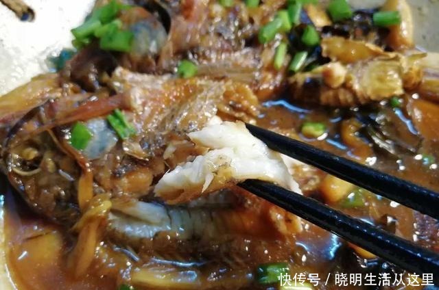 糖醋|土鲫鱼最好吃的方法,糖醋葱烧,连骨酥,开胃健脾