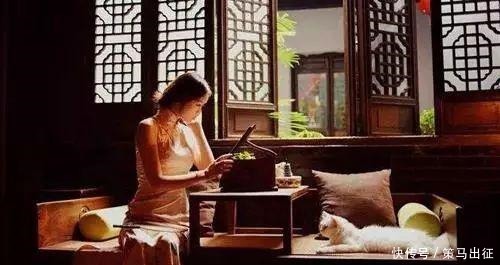 优雅是一|女人养三雅,才是真美人!