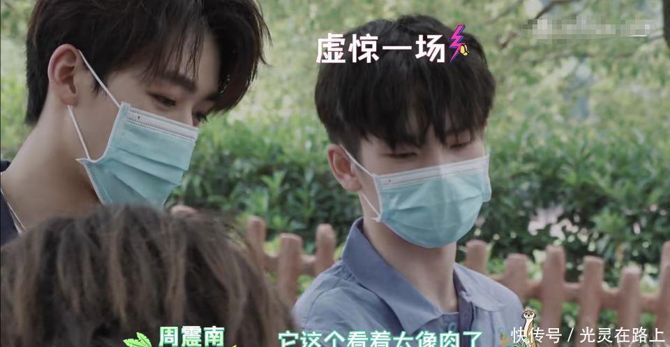 小团|R1SE小团综:何洛洛给羊驼剪毛吓到周震南,任豪气场压制河马