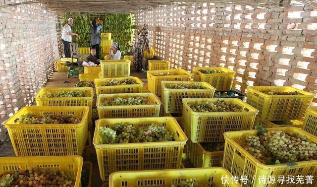  很好|适当吃葡萄干有很好的通利小便、消肿的功效