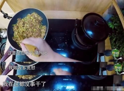 暴露出|《向往》为何一直不用煤气灶黄磊下意识说出8字,暴露出真实原因