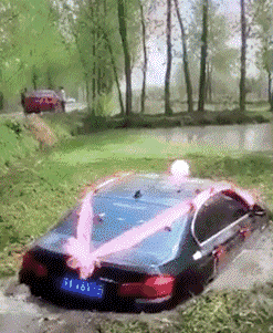 女神|搞笑GIF:美女,怎么可以这样,你可是我心中的女神啊