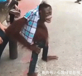 难受|“妹子的护甲快掉了,我看着都难受...”哈哈哈又犯强迫症了!