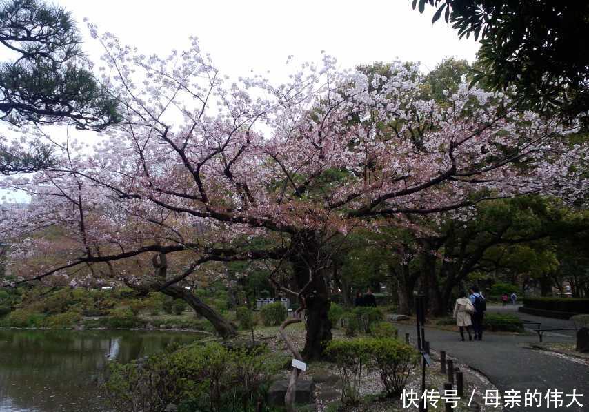 小雅|父母要彩礼女儿坚持不要，结婚该要彩礼吗？3个女人给出答案