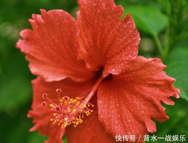  紫气东来|恭喜3生肖近期紫气东来，财运旺喜事多，日子事业红红火火