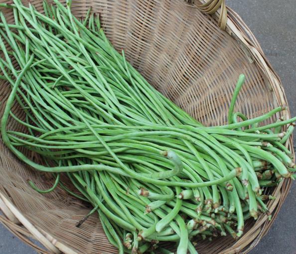 豆角|豆角包饺子,先焯水还是直接包一步做错,豆角不入味,不嫩不香
