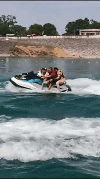 GIF|搞笑GIF:看到最后我就放心了!