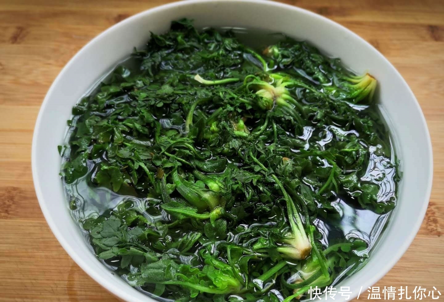 人来说|它是天然的“抗生素”,春天吃最好,清热明目,不懂吃可惜了!