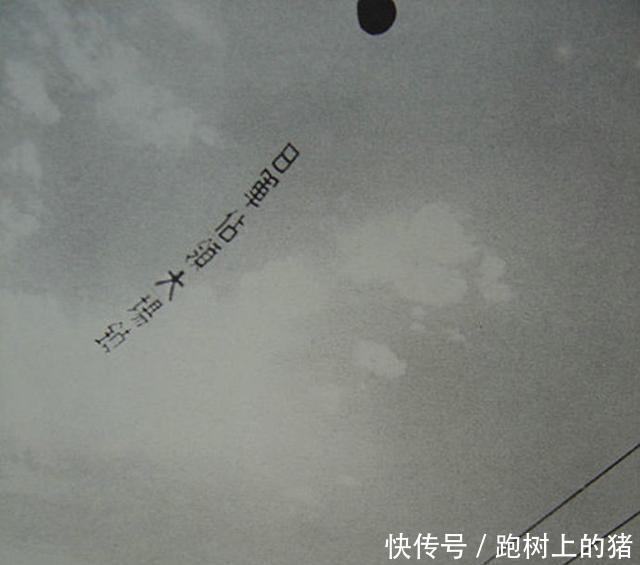 部队|淞沪会战老照片这个地方失守后,一位师长曾举枪自戕