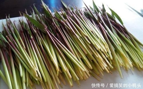 玩具|农村随处可见的茅针，小时候的玩具，想不到还有那么多用处