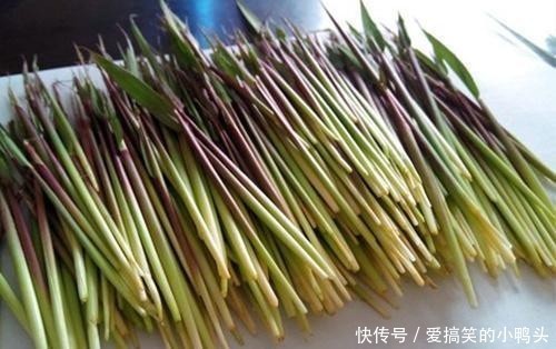 玩具|农村随处可见的茅针,小时候的玩具,想不到还有那么多用处