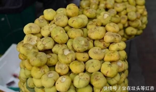 浑身|这种水果看起来像“小笼包”,当地人叫“糖包子”浑身脏兮兮的